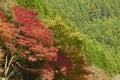 View of Arashiyama in Kyoto during Autumn