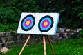 View of Archery target standing on a meadow Royalty Free Stock Photo