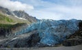 View on Argentiere glacier.