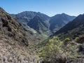 View of arid subtropical landscape of Barranco de Guigui Grande ravine with cacti and palm trees viewed from hiking