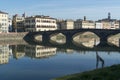 View of the Arno river and giraffe statue in Florence