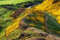 Naturein city Edinburgh, Scotland