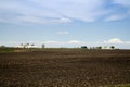 Arthur Illnois Amish farm land Royalty Free Stock Photo