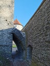 View of the artillery tower Kik-in-de-KÃÂ¶k of the medieval defensive wall of the city of Tallinn against the blue sky from the Royalty Free Stock Photo