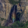 Epic view from Artist Point Trail of Yosemite falls with a bright rainbow