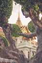 View of the Asian topiary in the Grand Palace , Bangkok, Thailand