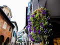 View on Asolo Royalty Free Stock Photo