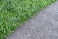 View of the asphalt footpath and the thick green grass of the mown lawn. Concept background, texture, landscape design