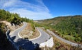 Panoramic view of asphalt road in beautiful golden beech forest during autumn Royalty Free Stock Photo