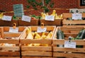 View of assorted vegetables on wooden crates displayed in the greengrocer