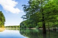 View of Ataturk Arboretum Botanic Park in Istanbul