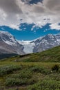 View of Athabasca Glacier from Wilcox Pass Royalty Free Stock Photo