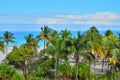 View of the Atlantic coast from the height, palm trees and vegetation, beach, beach umbrellas, figurines of people in the backgrou