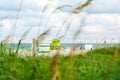 View on Atlantic ocean through grass in Miami Beach Florida USA Royalty Free Stock Photo