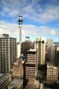 VIew of auckland city in New Zealand