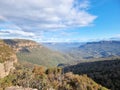 View of Australian Eucalypt Forest on the Prince Henry Cliff Track in the Blue Mountains of New south Wales