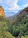 View of Australian Eucalypt Forest on the Prince Henry Cliff Track in the Blue Mountains of New south Wales