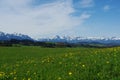 View on Austrian and German Alps from hill near St Royalty Free Stock Photo