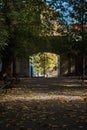 view of the autumn alley in the park covered with fallen leaves leading to the arch of the gate Royalty Free Stock Photo