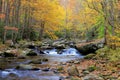 River in the Smoky Mountains Royalty Free Stock Photo