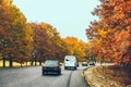 view of autumn highway fall season Royalty Free Stock Photo