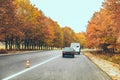 view of autumn highway fall season