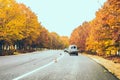 view of autumn highway fall season Royalty Free Stock Photo