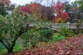 view of autumn landscape with Bow bridge in Central Park. New York City. USA Royalty Free Stock Photo