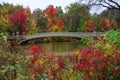 view of autumn landscape with Bow bridge in Central Park. New York City. USA Royalty Free Stock Photo