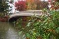 View of autumn landscape with Bow bridge in Central Park. New York City. USA Royalty Free Stock Photo