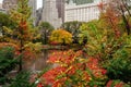 view of autumn landscape in Central Park. New York City. USA Royalty Free Stock Photo