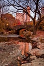 View of autumn landscape in Central Park. New York City. USA Royalty Free Stock Photo