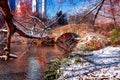 View of autumn landscape in Central Park. New York City. USA Royalty Free Stock Photo