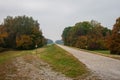 View of autumn leaves in the trees in the park of Danube Cycle Path in Germany