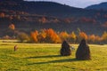 View on autumn mountain valleys, trees with colorful leaves and grazing horses. Royalty Free Stock Photo