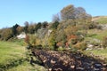 Autumn tints, Swaledale, Yorkshire Dales, UK Royalty Free Stock Photo