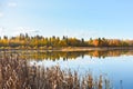 View of autumn trees and blue sky reflections in Lacombe Lake Royalty Free Stock Photo