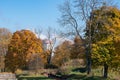 Autumn trees in front of smoke chimneys Royalty Free Stock Photo