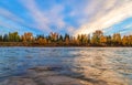 Fall Trees Lining The Bow River Royalty Free Stock Photo