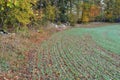 View of autumn undulating fields, south bohemia Royalty Free Stock Photo