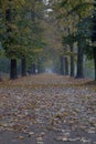 An autumn way Royalty Free Stock Photo
