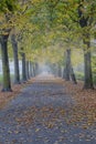 Autumn way Royalty Free Stock Photo