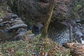 View of autumnal forest and river Lokorska in Balkan mountain Royalty Free Stock Photo