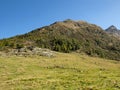 View of the autumnal landscape in the Passeier Valley near Pfelders in the Texel Group Nature Park, South Tyrol, Italy Royalty Free Stock Photo