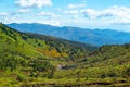 View of autumnal leaves of Shiga Kogen.