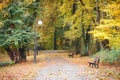 View on autumnal park in october, Footpath with bench for relaxation Royalty Free Stock Photo