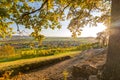 View through autumnal tree branches onto scenic vineyard, village, and valley at sunset in Southern Germany