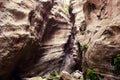 View of the avakas gorge canyon Royalty Free Stock Photo