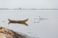 View at the Aveiro Lagoon, on Torreira, a portuguese Village on seafront beach, senior man practicing rowing in a white canoe