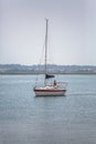 View of Aveiro river with private recreational boat with people sailing. Day with clouds and background with typical vegetation Royalty Free Stock Photo